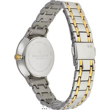 قیمت و خرید ساعت مچی زنانه اسکاگن(SKAGEN) مدل SKW2321 کلاسیک | اورجینال و اصلی