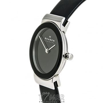 قیمت و خرید ساعت مچی زنانه اسکاگن(SKAGEN) مدل 358SSLB کلاسیک | اورجینال و اصلی