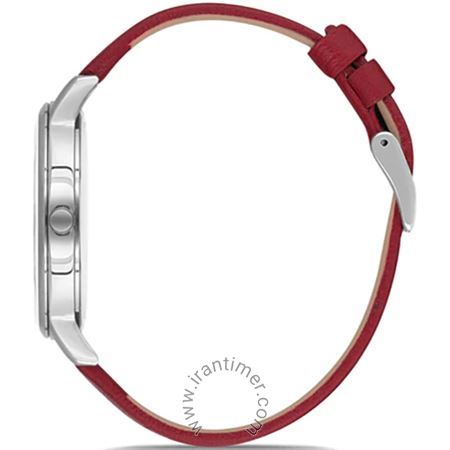 قیمت و خرید ساعت مچی زنانه دنیل کلین(Daniel Klein) مدل DK.1.12631-3 فشن | اورجینال و اصلی