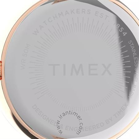قیمت و خرید ساعت مچی زنانه تایمکس(TIMEX) مدل TW2V24300 کلاسیک | اورجینال و اصلی