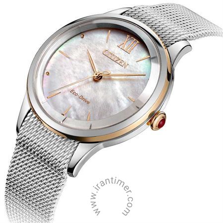 قیمت و خرید ساعت مچی زنانه سیتیزن(CITIZEN) مدل EM0816-88Y کلاسیک | اورجینال و اصلی