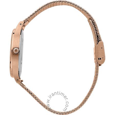 قیمت و خرید ساعت مچی زنانه تروساردی(TRUSSARDI) مدل R2453152505 فشن | اورجینال و اصلی