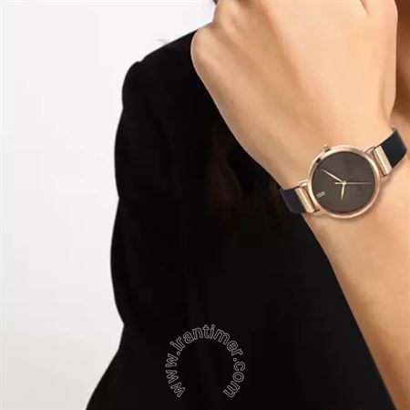 قیمت و خرید ساعت مچی زنانه دنیل کلین(Daniel Klein) مدل DK.1.12492-6 کلاسیک | اورجینال و اصلی