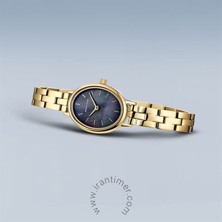 قیمت و خرید ساعت مچی زنانه برینگ(BERING) مدل B11020-732 کلاسیک | اورجینال و اصلی