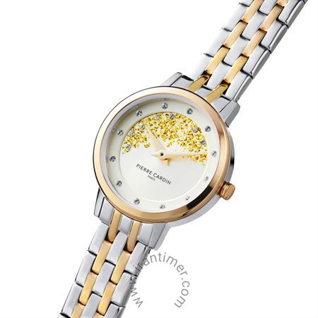 قیمت و خرید ساعت مچی زنانه پیر کاردین(PIERRE CARDIN) مدل CBL.0005 فشن | اورجینال و اصلی