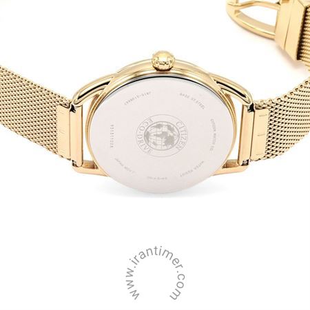 قیمت و خرید ساعت مچی زنانه سیتیزن(CITIZEN) مدل FE6083-72A کلاسیک | اورجینال و اصلی