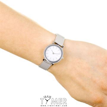 قیمت و خرید ساعت مچی زنانه اسکاگن(SKAGEN) مدل SKW2441 کلاسیک | اورجینال و اصلی