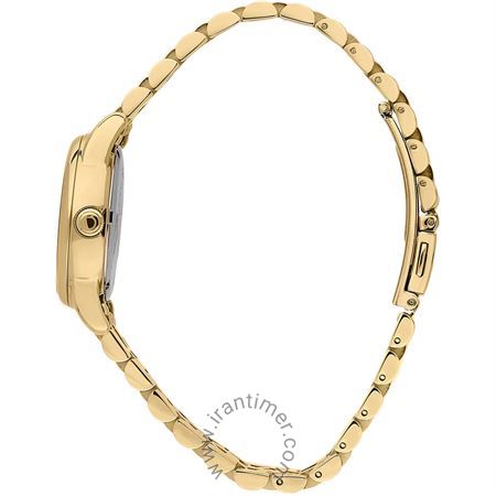 قیمت و خرید ساعت مچی زنانه تروساردی(TRUSSARDI) مدل R2453150506 کلاسیک فشن | اورجینال و اصلی