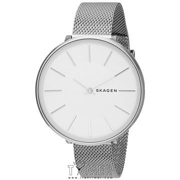 قیمت و خرید ساعت مچی زنانه اسکاگن(SKAGEN) مدل SKW2687 کلاسیک | اورجینال و اصلی