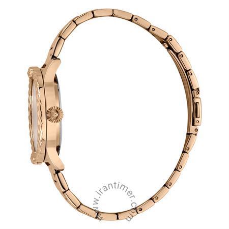 قیمت و خرید ساعت مچی زنانه جاست کاوالی(JUST CAVALLI) مدل JC1L144M0065 کلاسیک | اورجینال و اصلی