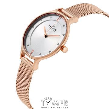 قیمت و خرید ساعت مچی زنانه اسکاگن(SKAGEN) مدل SKW2151 کلاسیک | اورجینال و اصلی