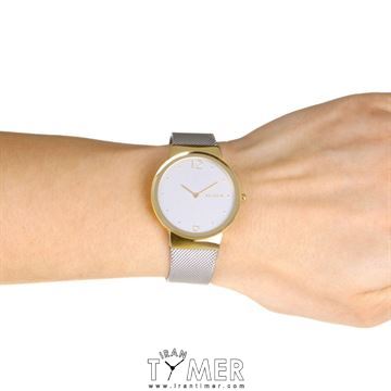 قیمت و خرید ساعت مچی زنانه اسکاگن(SKAGEN) مدل SKW2381 کلاسیک | اورجینال و اصلی