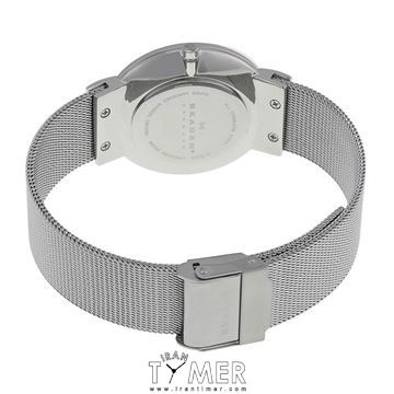 قیمت و خرید ساعت مچی زنانه اسکاگن(SKAGEN) مدل SKW2152 کلاسیک | اورجینال و اصلی