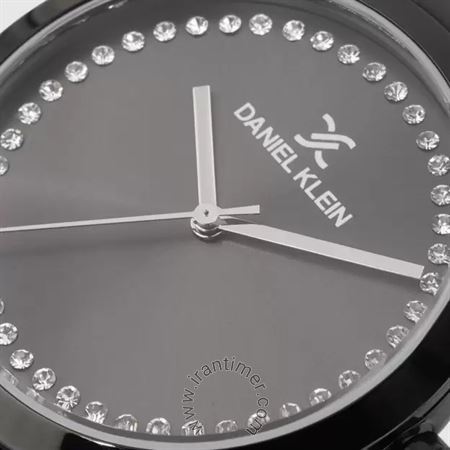 قیمت و خرید ساعت مچی زنانه دنیل کلین(Daniel Klein) مدل DK.1.12282-5 کلاسیک | اورجینال و اصلی