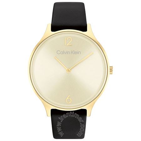 قیمت و خرید ساعت مچی زنانه کالوین کلاین(CALVIN KLEIN) مدل 25200008 کلاسیک | اورجینال و اصلی
