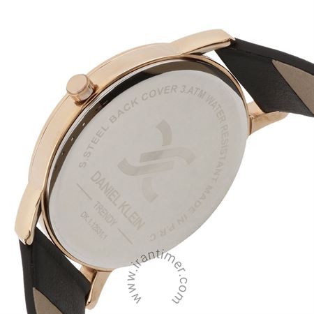 قیمت و خرید ساعت مچی زنانه دنیل کلین(Daniel Klein) مدل DK.1.12631-1 کلاسیک | اورجینال و اصلی