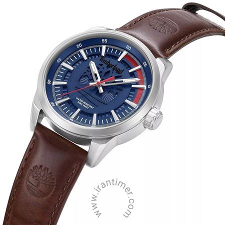 قیمت و خرید ساعت مچی مردانه تیمبرلند(TIMBERLAND) مدل TDWGA0083202 کلاسیک | اورجینال و اصلی