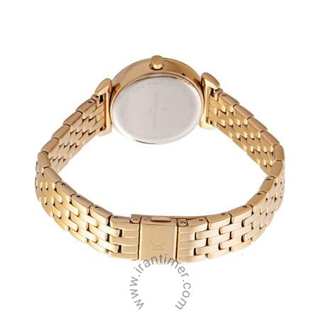 قیمت و خرید ساعت مچی زنانه پیر کاردین(PIERRE CARDIN) مدل CF.0812.SE.G فشن | اورجینال و اصلی