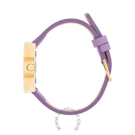 قیمت و خرید ساعت مچی زنانه پیکتو(PICTO) مدل P34033-6814G کلاسیک | اورجینال و اصلی