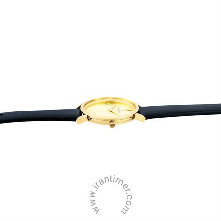 قیمت و خرید ساعت مچی زنانه پیر کاردین(PIERRE CARDIN) مدل CPI.2533 کلاسیک | اورجینال و اصلی