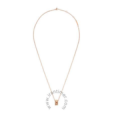 قیمت و خرید گردنبند زنانه دنیل ولینگتون(DANIEL WELLINGTON) مدل DW00400194 کلاسیک | اورجینال و اصلی