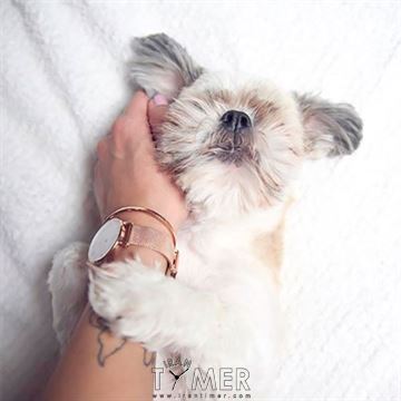 قیمت و خرید ساعت مچی زنانه دنیل ولینگتون(DANIEL WELLINGTON) مدل DW00100219 کلاسیک | اورجینال و اصلی