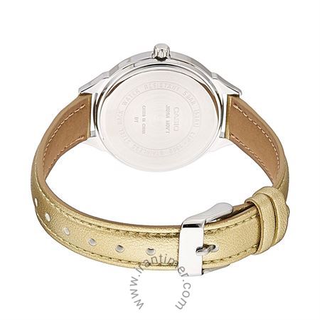 قیمت و خرید ساعت مچی زنانه کاسیو (CASIO) جنرال مدل LTP-1392L-9AVDF کلاسیک | اورجینال و اصلی