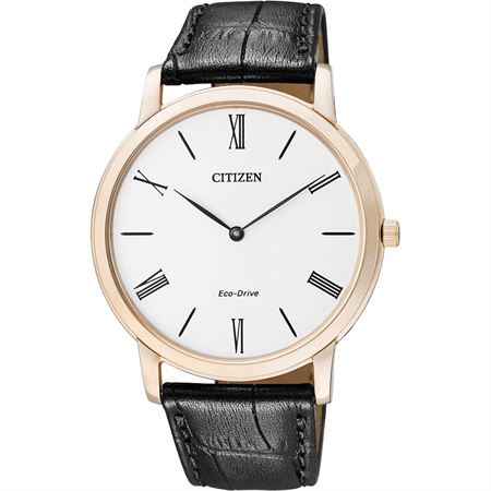قیمت و خرید ساعت مچی مردانه سیتیزن(CITIZEN) مدل AR1133-23A کلاسیک | اورجینال و اصلی