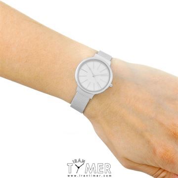 قیمت و خرید ساعت مچی زنانه اسکاگن(SKAGEN) مدل SKW2478 کلاسیک | اورجینال و اصلی