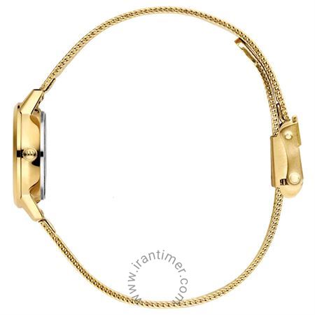 قیمت و خرید ساعت مچی زنانه دنیش دیزاین(Danish Design) مدل IV03Q1268 کلاسیک | اورجینال و اصلی