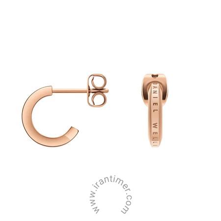 قیمت و خرید گوشواره زنانه دنیل ولینگتون(DANIEL WELLINGTON) مدل DW00400146 کلاسیک | اورجینال و اصلی