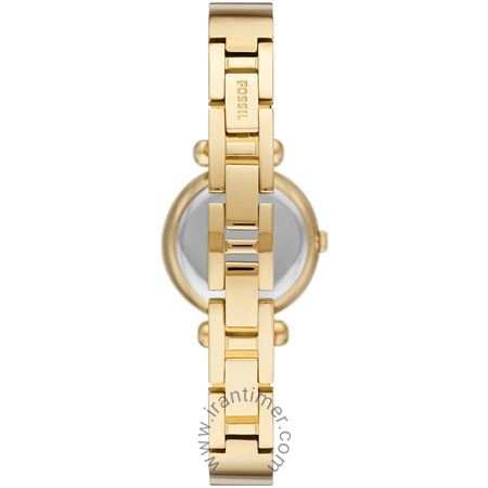 قیمت و خرید ساعت مچی زنانه فسیل(FOSSIL) مدل BQ3895 فشن | اورجینال و اصلی