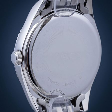 قیمت و خرید ساعت مچی زنانه تایمکس(TIMEX) مدل TW2U78700 کلاسیک | اورجینال و اصلی