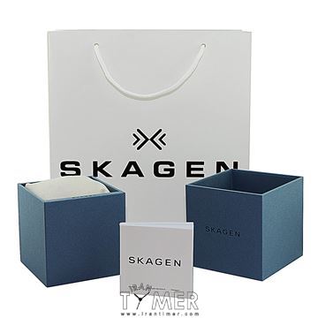 قیمت و خرید ساعت مچی مردانه اسکاگن(SKAGEN) مدل SKW6419 کلاسیک | اورجینال و اصلی