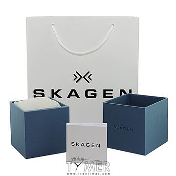 قیمت و خرید ساعت مچی مردانه اسکاگن(SKAGEN) مدل SKW6105 کلاسیک | اورجینال و اصلی