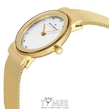 قیمت و خرید ساعت مچی زنانه اسکاگن(SKAGEN) مدل 358SGGD کلاسیک | اورجینال و اصلی