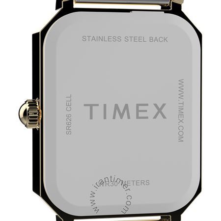 قیمت و خرید ساعت مچی زنانه تایمکس(TIMEX) مدل TW2Y01300 کلاسیک | اورجینال و اصلی
