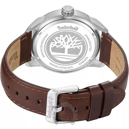 قیمت و خرید ساعت مچی مردانه تیمبرلند(TIMBERLAND) مدل TDWGA0083202 کلاسیک | اورجینال و اصلی