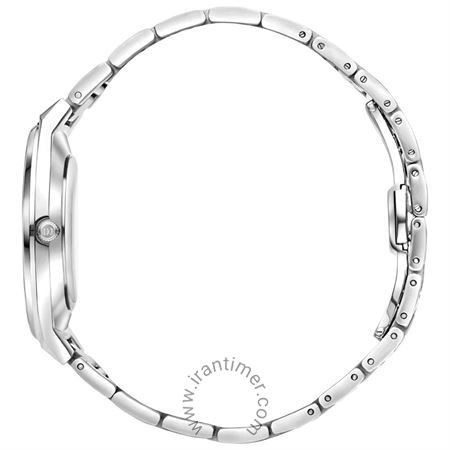قیمت و خرید ساعت مچی مردانه دنیش دیزاین(Danish Design) مدل IQ98Q1302 کلاسیک | اورجینال و اصلی
