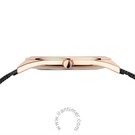 قیمت و خرید ساعت مچی زنانه برینگ(BERING) مدل B17031-162 کلاسیک فشن | اورجینال و اصلی