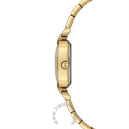 قیمت و خرید ساعت مچی زنانه یو اس پولو(U.S. Polo Assn) مدل USPA2114-03 فشن | اورجینال و اصلی