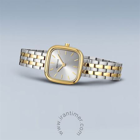 قیمت و خرید ساعت مچی زنانه برینگ(BERING) مدل B17926-714 کلاسیک | اورجینال و اصلی