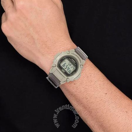 قیمت و خرید ساعت مچی مردانه کاسیو (CASIO) مدل W-219HB-5AVDF اسپرت | اورجینال و اصلی
