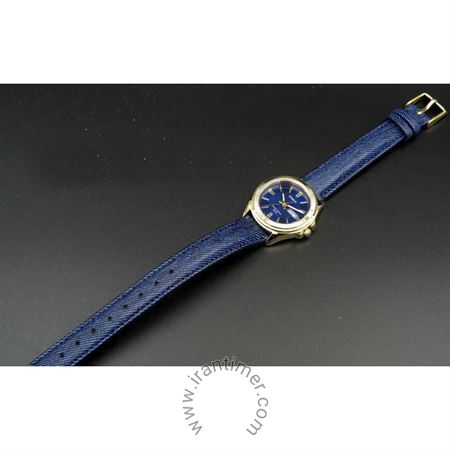 قیمت و خرید ساعت مچی زنانه کاسیو (CASIO) جنرال مدل LTP-E111GBL-2AVDF کلاسیک | اورجینال و اصلی