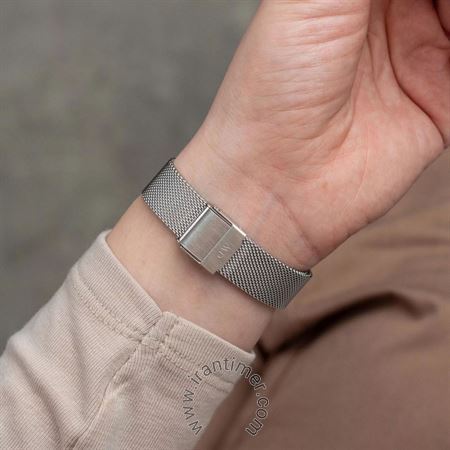 قیمت و خرید ساعت مچی زنانه دنیل ولینگتون(DANIEL WELLINGTON) مدل DW00100825 فشن | اورجینال و اصلی