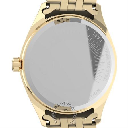 قیمت و خرید ساعت مچی زنانه تایمکس(TIMEX) مدل TW2V61800 کلاسیک | اورجینال و اصلی