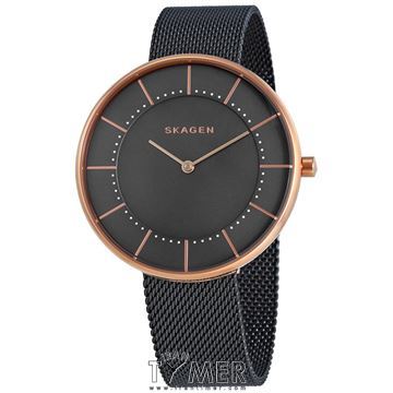قیمت و خرید ساعت مچی زنانه اسکاگن(SKAGEN) مدل SKW2584 کلاسیک | اورجینال و اصلی