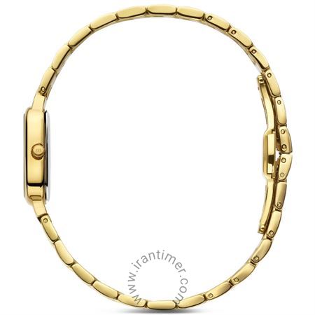 قیمت و خرید ساعت مچی زنانه دنیش دیزاین(Danish Design) مدل IV05Q1309 کلاسیک | اورجینال و اصلی