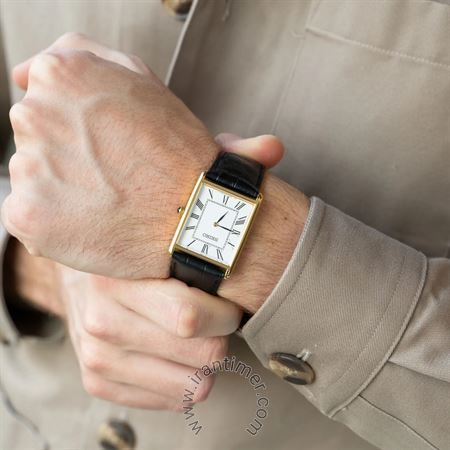 قیمت و خرید ساعت مچی مردانه سیکو(SEIKO) مدل SWR052 کلاسیک | اورجینال و اصلی