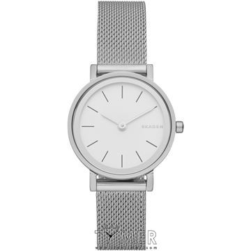 قیمت و خرید ساعت مچی زنانه اسکاگن(SKAGEN) مدل SKW2441 کلاسیک | اورجینال و اصلی